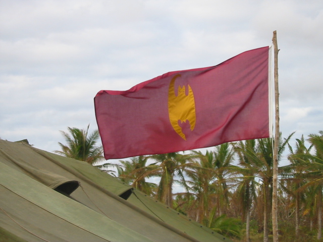 vampire flag