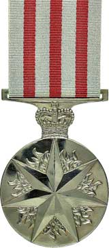 Distinguished service Medal